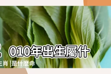 【2010年2月出生的是什麼命】2010年出生屬什麼生肖 |是什麼命 |2010年2月28日出生的人命好嗎 |
