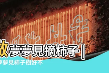 【做夢夢見摘柿子吉祥數】做夢夢見摘柿子 |做夢夢見柿子樹好不好 |夢見摘了很多黃柿子 |
