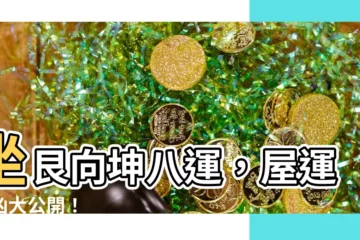 【坐艮向坤八運】坐艮向坤八運，屋運吉凶大公開！