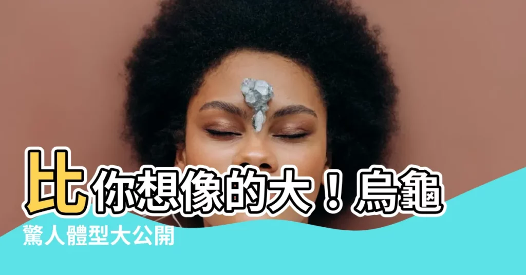 【烏龜可以長多大】比你想像的大！烏龜驚人體型大公開