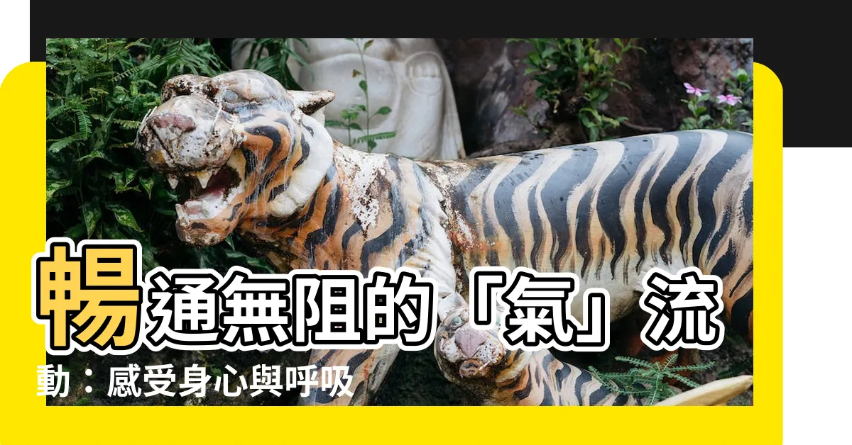 【氣的流動】暢通無阻的「氣」流動：感受身心與呼吸的完美協奏