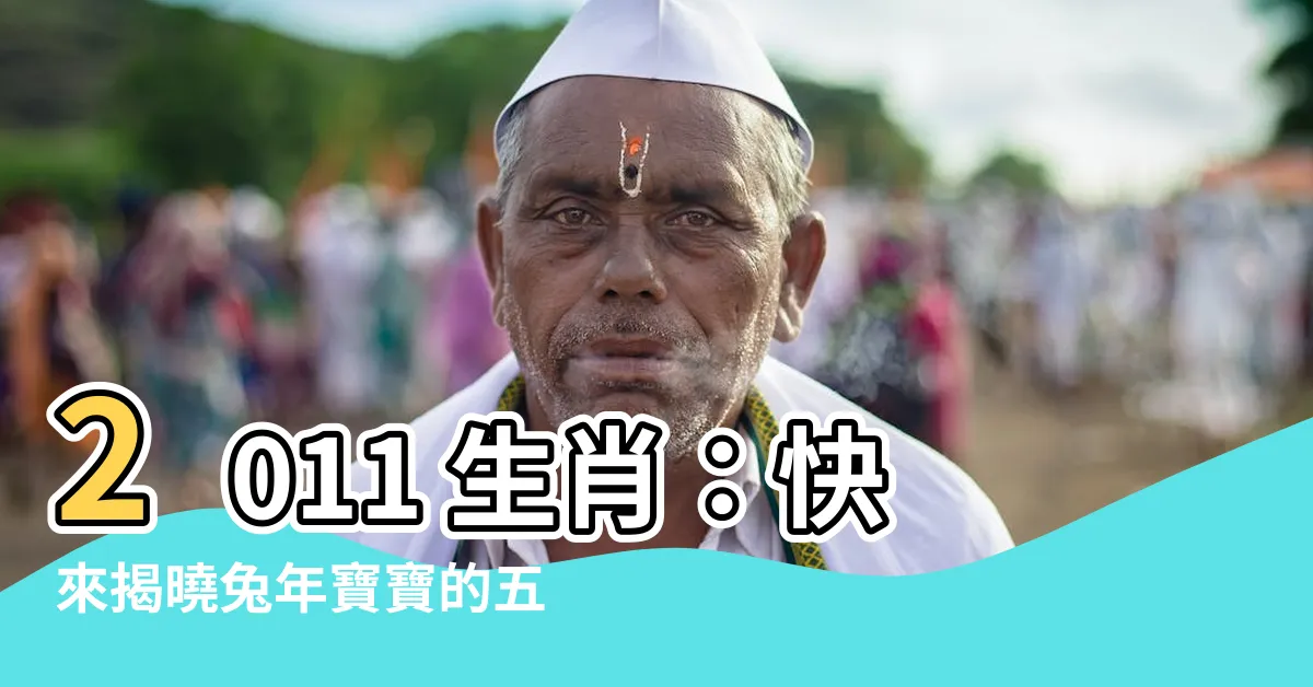 【2011 生肖】2011 生肖：快來揭曉兔年寶寶的五行之謎！