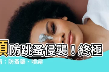 【預防跳蚤】預防跳蚤侵襲！終極指南：防蚤藥、噴霧、止癢法一次掌握