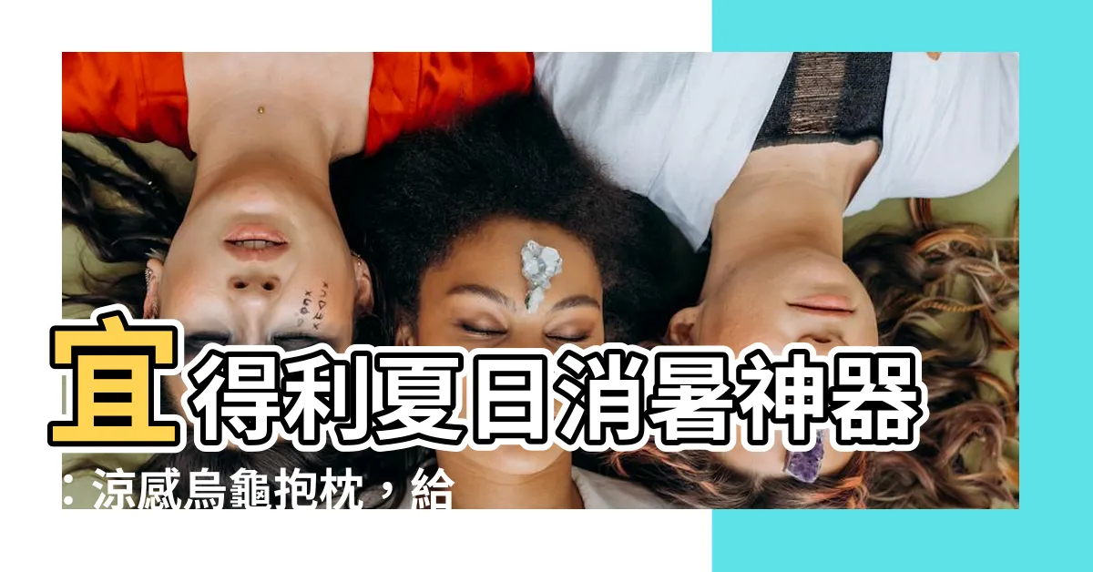 【宜得利烏龜】宜得利夏日消暑神器：涼感烏龜抱枕，給你沁涼一夏！
