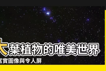 【大葉植物】大葉植物的唯美世界：寫實圖像與令人屏息的插畫