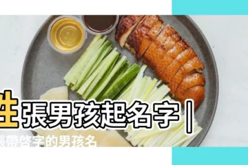【姓張帶啓的名字大全男孩名字】姓張男孩起名字 |姓張帶啓字的男孩名字 |含啓字好聽的張姓男孩名字 |