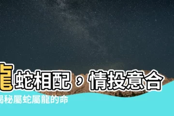 【龍蛇合不合】龍蛇相配，情投意合？揭秘屬蛇屬龍的命運姻緣