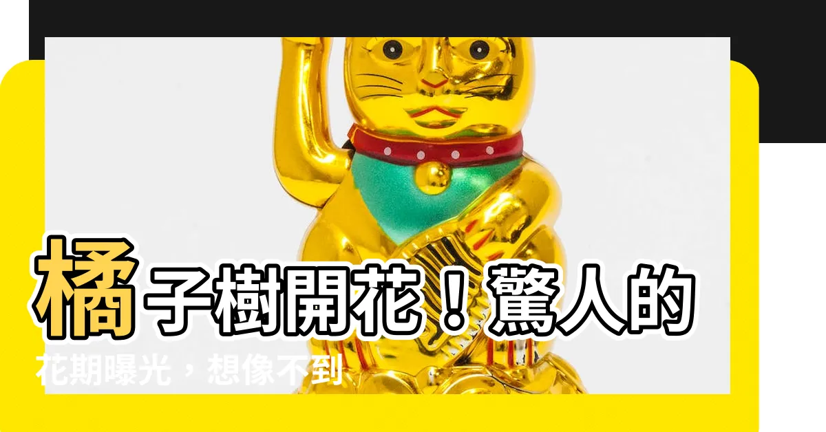 【橘子樹開花】橘子樹開花！驚人的花期曝光，想像不到的時候竟結出巨無霸果實！
