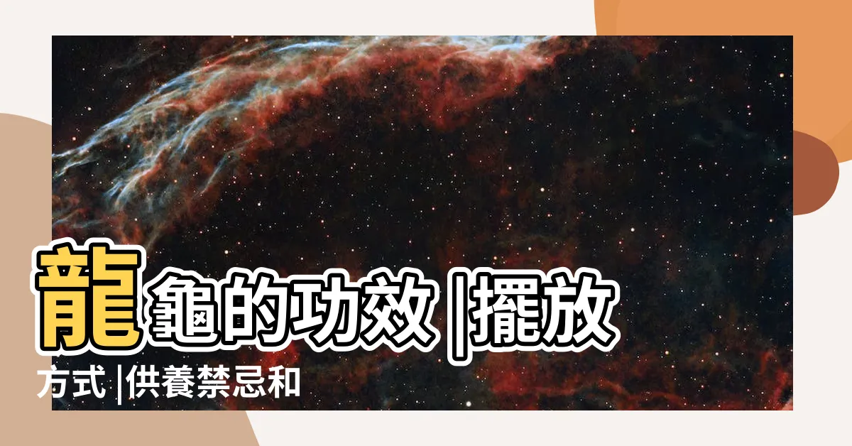 【龍龜擺法】龍龜的功效 |擺放方式 |供養禁忌和注意事項 |