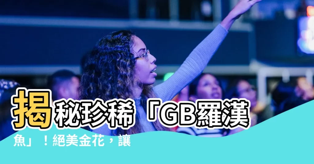 【gb羅漢】揭秘珍稀「GB羅漢魚」！絕美金花，讓你目不轉睛