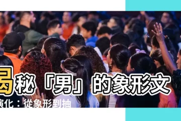 【男 象形文字】揭秘「男」的象形文字演化：從象形到抽象的文字之旅