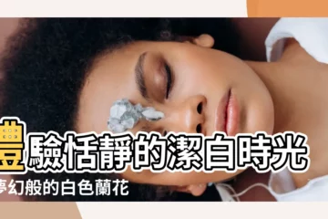 【白色 蘭花】體驗恬靜的潔白時光：夢幻般的白色蘭花綻放