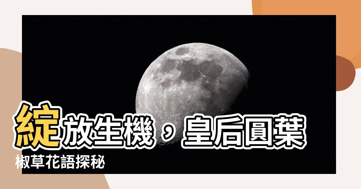 【圓葉椒草花語】綻放生機，皇后圓葉椒草花語探秘