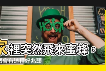 【蜜蜂來家風水】家裡突然飛來蜜蜂，竟然會有這種好兆頭？蜜蜂來家風水大解析！