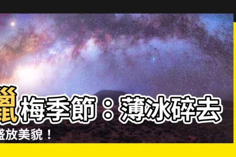 【臘梅季節】臘梅季節：薄冰碎去，盛放美貌！