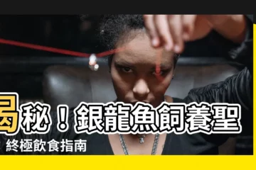 【銀龍吃什麼】揭秘！銀龍魚飼養聖經：終極飲食指南