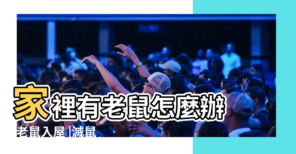 【家中出現老鼠】家裡有老鼠怎麼辦 |老鼠入屋 |滅鼠就靠這五招 |