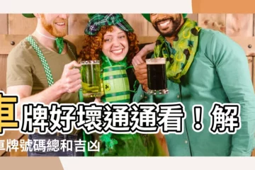 【車牌號碼總和】車牌好壞通通看！解鎖車牌號碼總和吉凶秘密