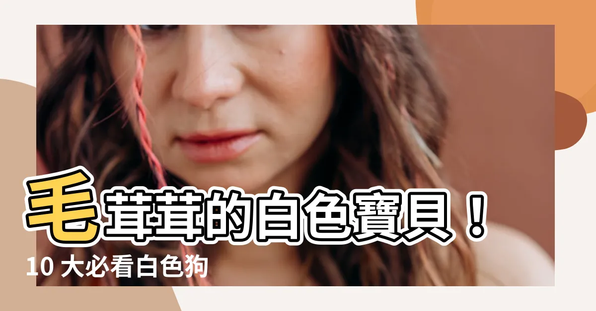 【白狗】毛茸茸的白色寶貝！10 大必看白色狗品種
