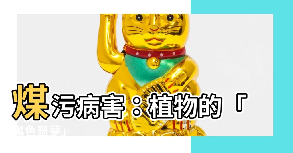 【煤污病】煤污病害：植物的「黑色噩夢」