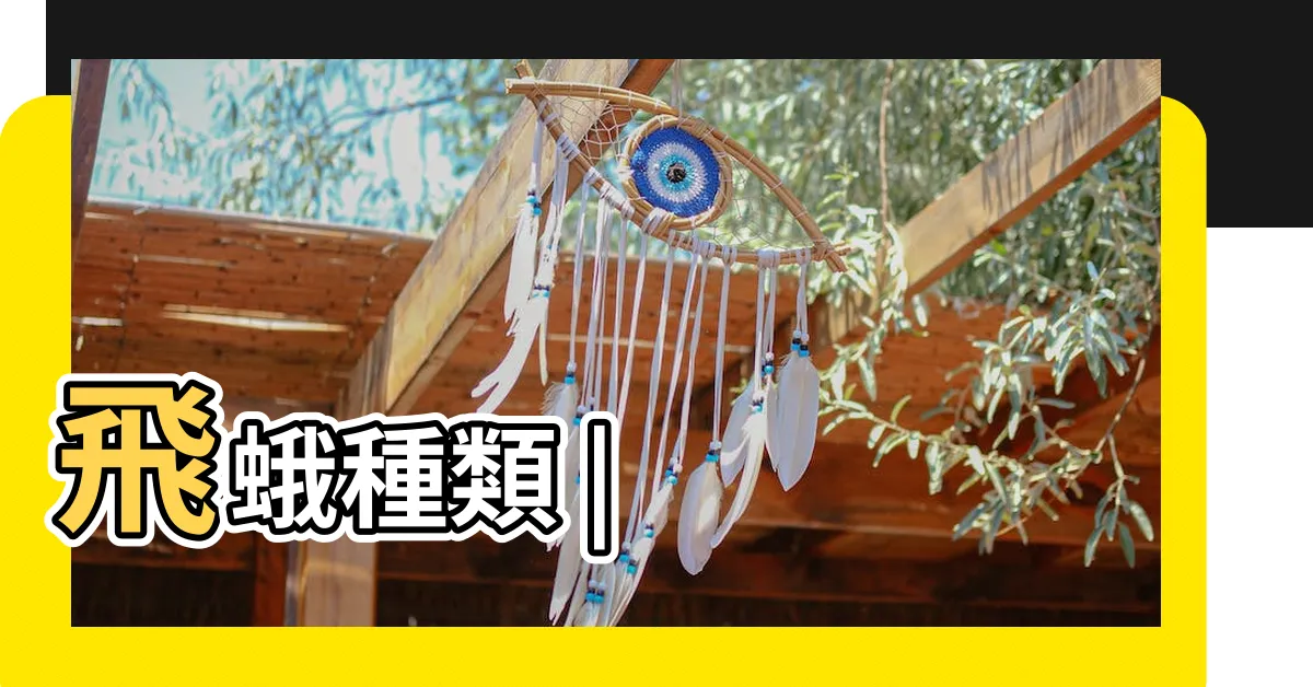 【飛蛾】飛蛾種類 |