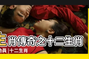 【十二生肖小海生肖名字】生肖傳奇之十二生肖總動員 |十二生肖姓名學可用的字 |