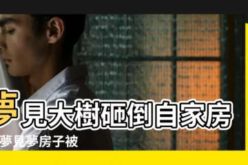 【做夢放樹把別人房子砸塌了】夢見大樹砸倒自家房屋 |夢見夢房子被樹砸塌三分之一有什麼意思嗎 |夢見很多大樹倒下房屋也塌了 |