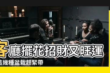 【客廳擺花】客廳擺花招財又旺運！這幾種盆栽趕緊帶回家！