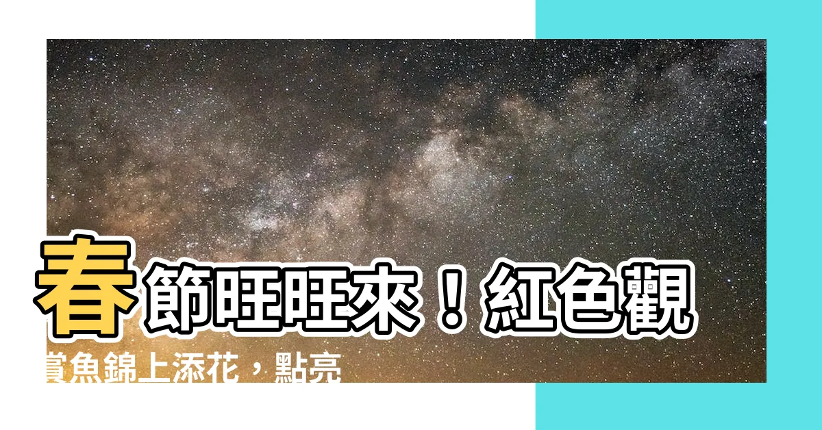 【紅色觀賞魚】春節旺旺來！紅色觀賞魚錦上添花，點亮你的新年好運