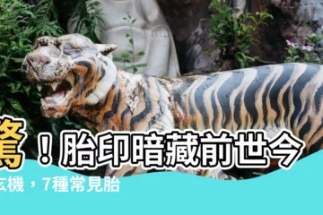【胎印】驚！胎印暗藏前世今生玄機，7種常見胎記大揭密