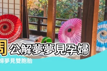 【孕婦夢見兩個白鷹】周公解夢夢見孕婦 |孕婦夢見雙胞胎 |孕婦夢見兩個男人喺佢睡房比武勝方突衝入佢個肚 |