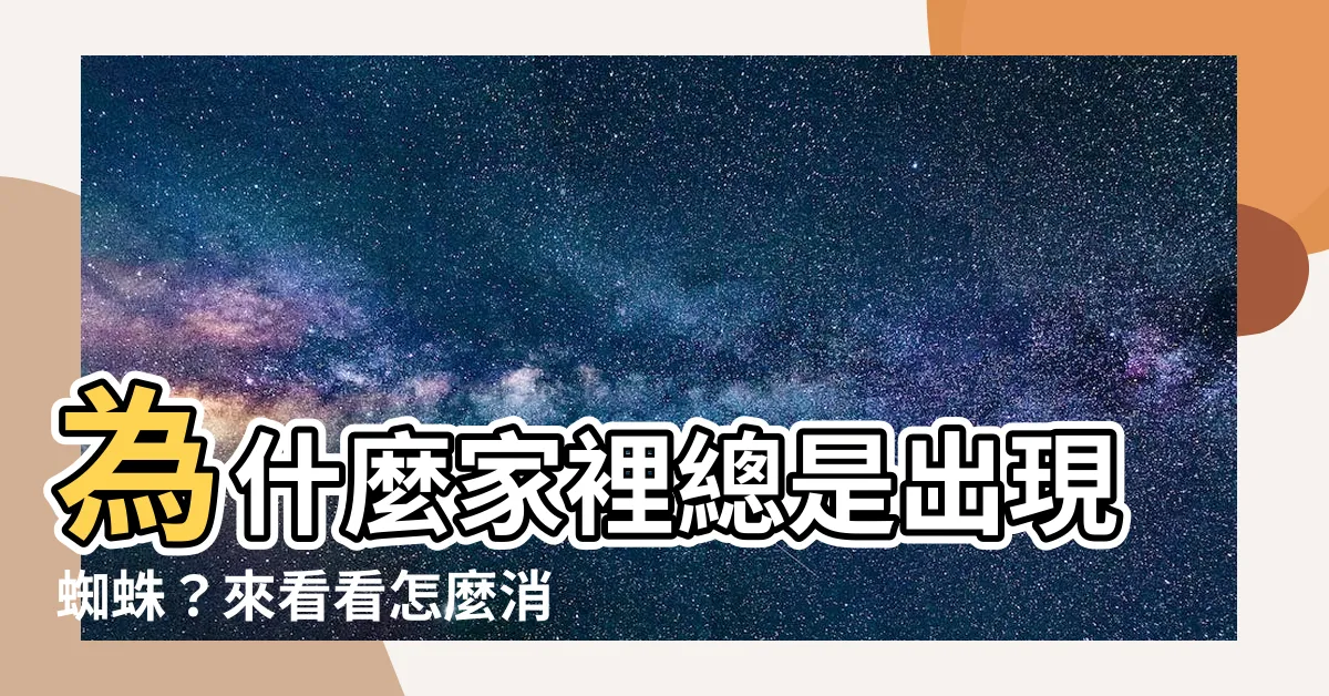 【為什麼家裡有蜘蛛】為什麼家裡總是出現蜘蛛？來看看怎麼消除掉它們吧！