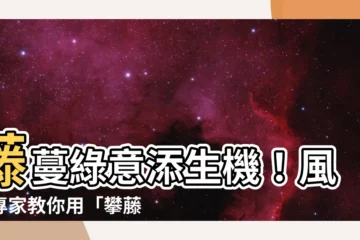 【藤 風水】藤蔓綠意添生機！風水專家教你用「攀藤植物」旺氣驅煞