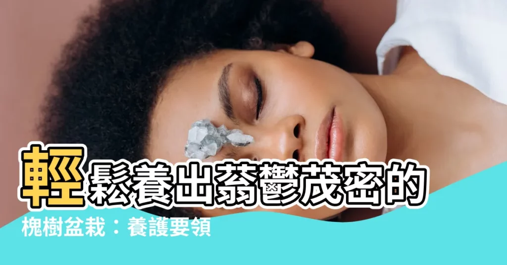 【槐樹盆栽】輕鬆養出蓊鬱茂密的槐樹盆栽：養護要領一次掌握