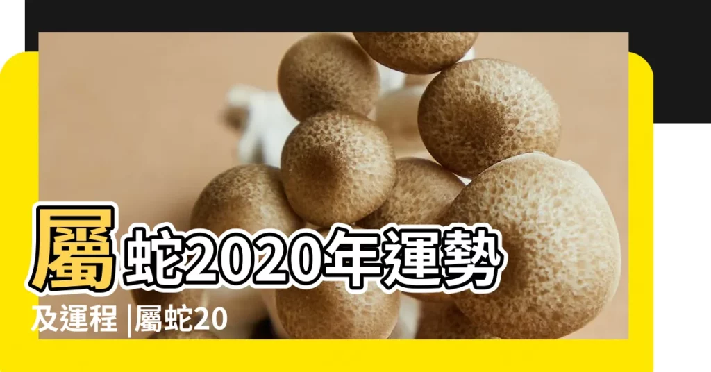 屬蛇2020年運勢及運程 |屬蛇2020年運勢及運程 |屬蛇2020年運勢及運程屬蛇人2020年每月運勢 |【2020屬蛇人每月運勢】