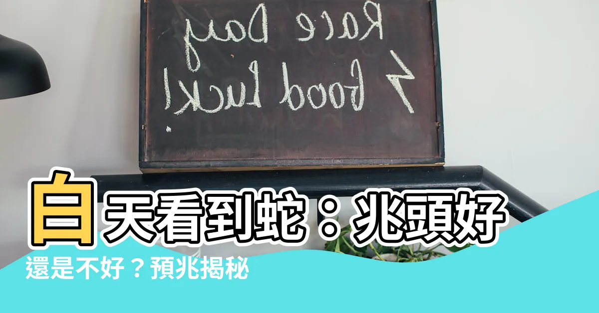 【白天看到蛇】白天看到蛇：兆頭好還是不好？預兆揭秘！