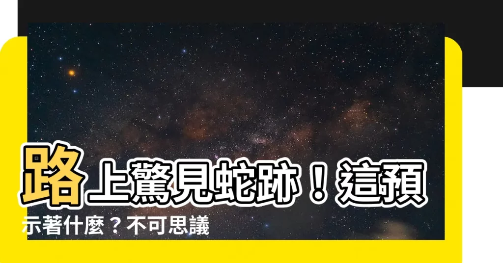 【路上看到蛇】路上驚見蛇跡！這預示著什麼？不可思議的徵兆大揭密！