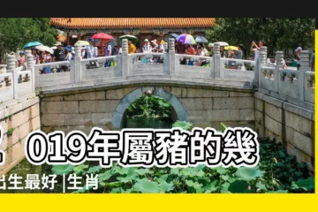【2019豬年午時出生女孩取名】2019年屬豬的幾月出生最好 |生肖屬豬的女孩取名注意什麼事項 |好聽的名字推薦 |