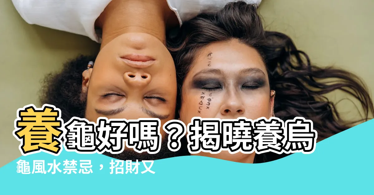 【養龜好嗎】養龜好嗎？揭曉養烏龜風水禁忌，招財又避災！