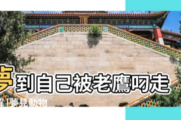 【夢見媳婦被老鷹叼走了】夢到自己被老鷹叼走求解 |夢見動物 |