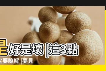 【夢見搬遷已死長輩的棺材】是好是壞 |這3點一定要瞭解 |夢見棺材裡的親人復活 |