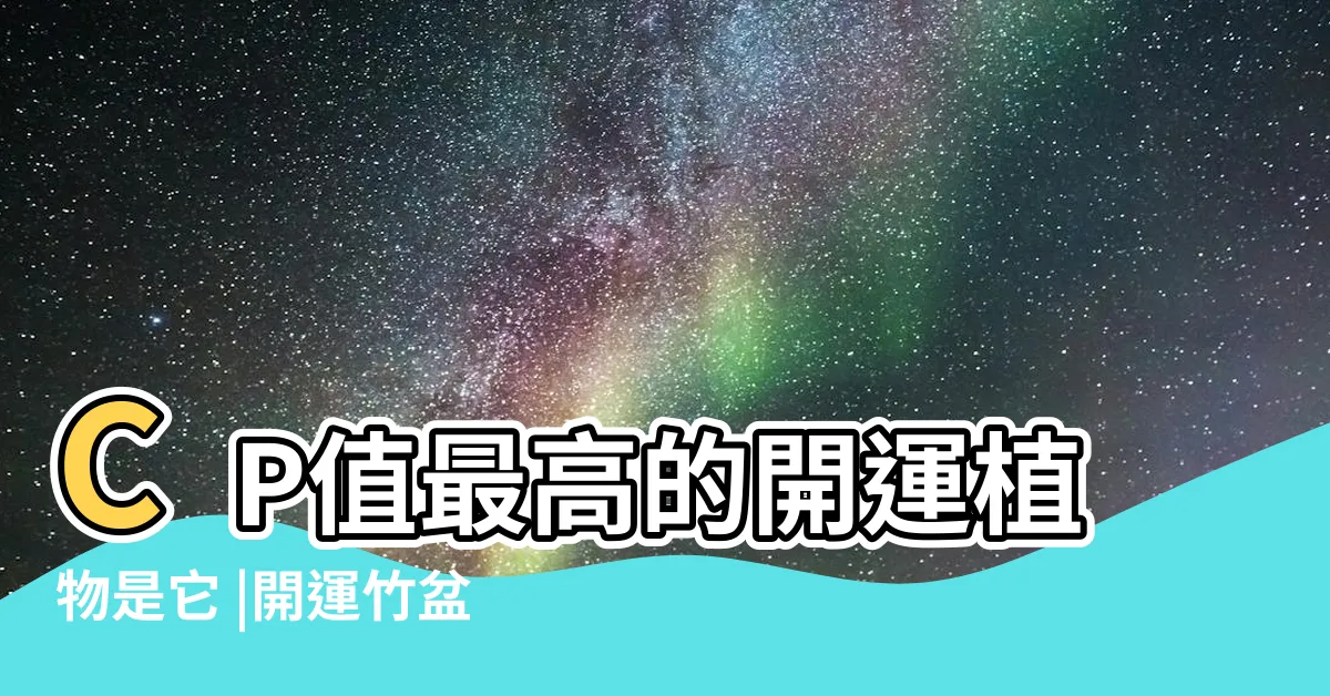 【開運竹功效】CP值最高的開運植物是它 |開運竹盆栽照顧法 |命理老師都説讚 |