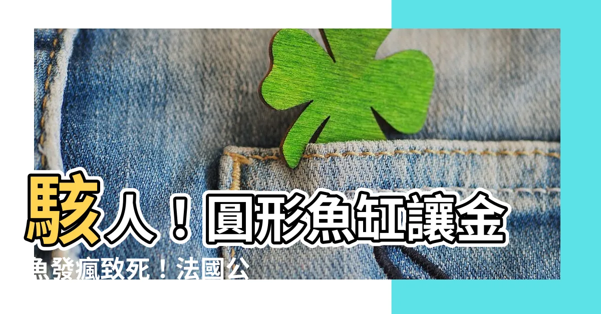 【圓形魚缸】駭人！圓形魚缸讓金魚發瘋致死！法國公司火速下架