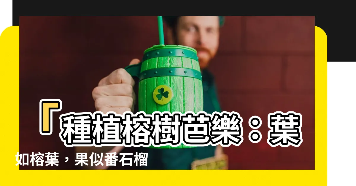 【榕樹芭樂種植】「種植榕樹芭樂：葉如榕葉，果似番石榴」