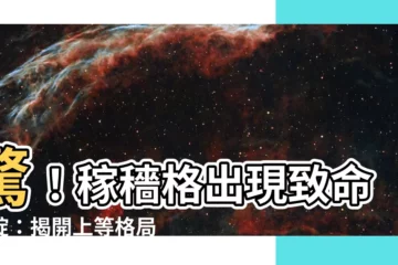 【稼穡格破格】驚！稼穡格出現致命破綻：揭開上等格局失靈之謎