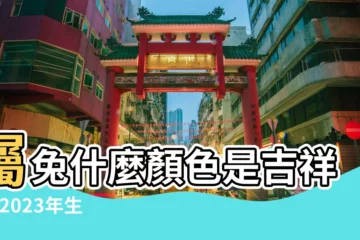 【兔子圖案T血吉祥嗎】屬兔什麼顏色是吉祥色 |2023年生肖兔最吉利顏色 |兔年應景T恤玩出花樣 |