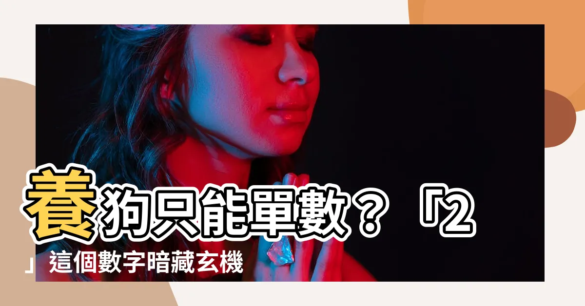 【狗為什麼不能養兩隻】養狗只能單數？「2」這個數字暗藏玄機！