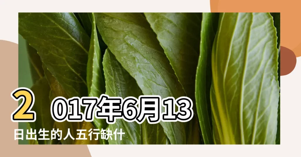 2017年6月13日出生的人五行缺什麼 |2017年6月13日出生的人缺什麼五行 |農曆2017年6月13日生日算命 |【2017年六月13日生五行】