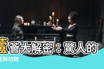 【蘆薈的用處】蘆薈大解密：驚人的用途與功效