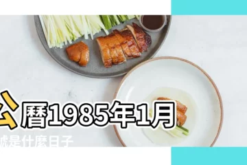 【1985年1月22日是什麼命】公曆1985年1月22號是什麼日子 |是什麼命 |1985年1月22日出生的人命好嗎 |